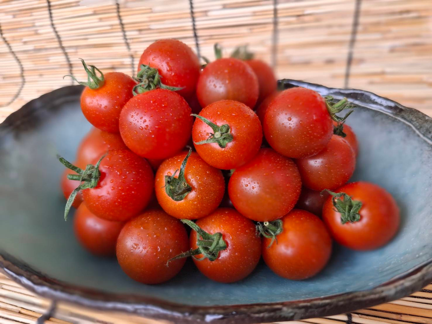 ミニパプリカ ミニトマト イタリアンパセリ セット
