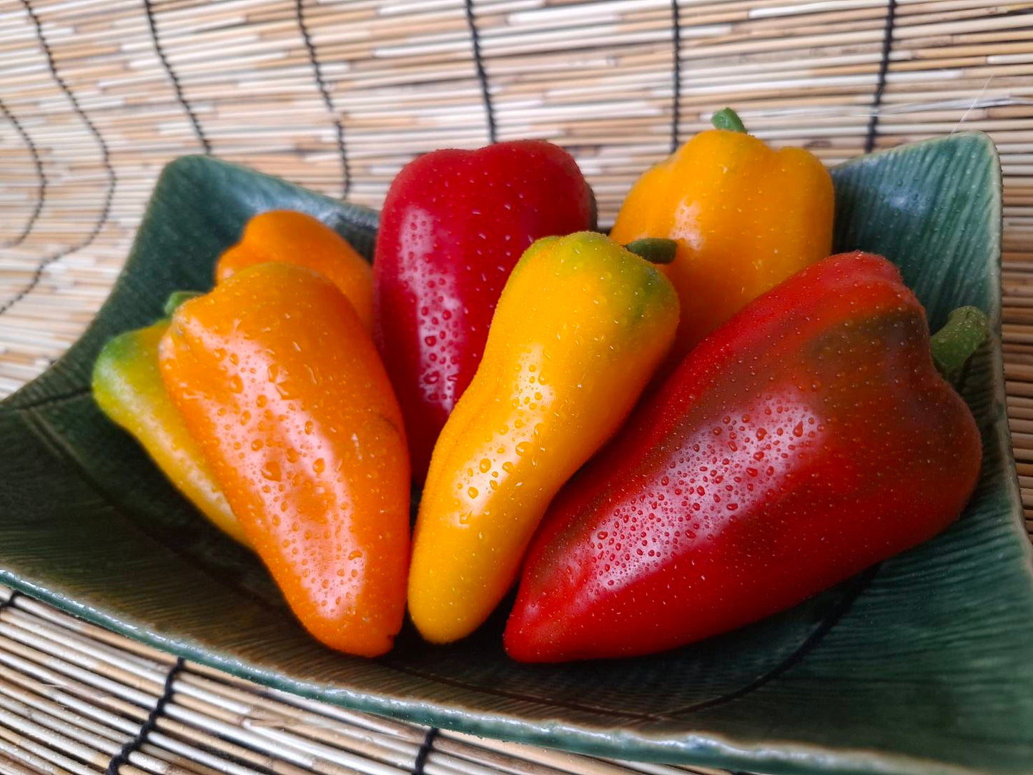 ミニパプリカ ミニトマト イタリアンパセリ セット