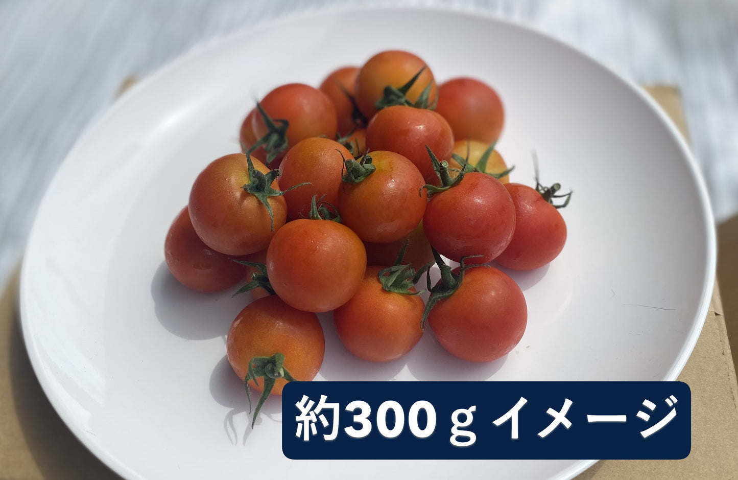 ミディトマト フルティカ 1.2キロ