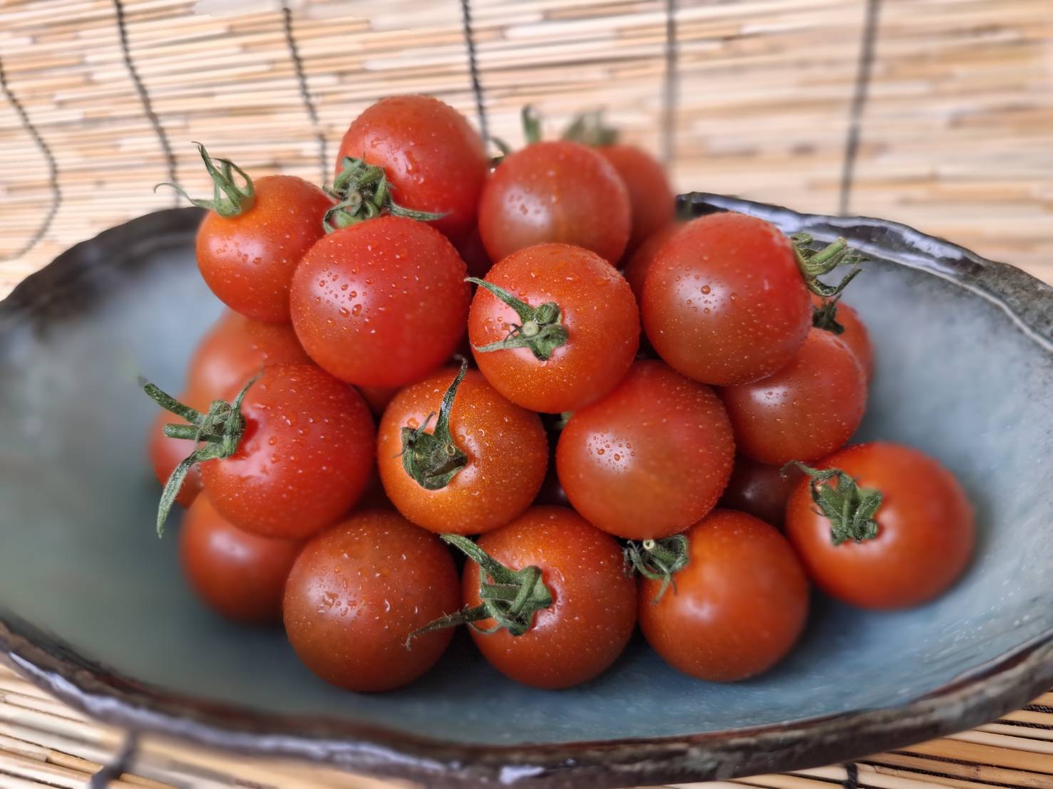 トマト -Tomato-